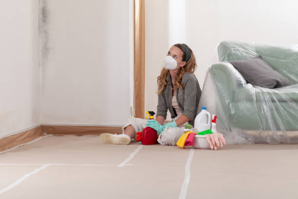 Reliable Basement Mold Remediation contractor in Northport, MI by Car Mold Remediation